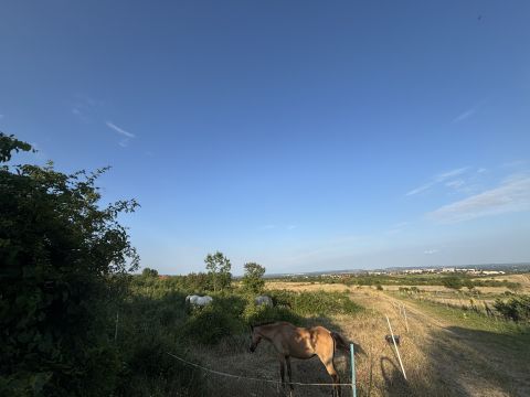 Eladó Mezőgazdasági 2000 Szentendre 
