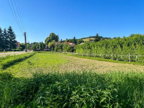 Eladó Telek 8430 Bakonyszentkirály , 8430 Bakonyszentkirály, Csendes