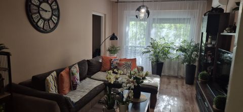 Eladó Lakás 6724 Szeged 