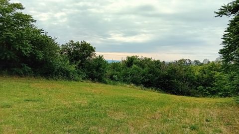 Eladó Telek 8600 Siófok , Töreki városrészben, panorámás, 3944 nm-es telek