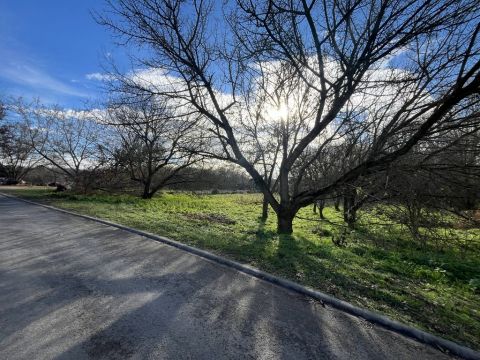 Eladó Telek 2151 Fót 