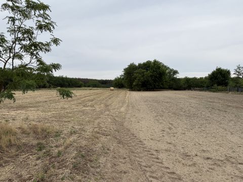Eladó Telek 6044 Kecskemét , 1,3 Ha Külterületi telek Hetény-Szarkásban