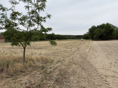 Eladó Telek 6044 Kecskemét 1,3 Ha Külterületi telek Hetény-Szarkásban