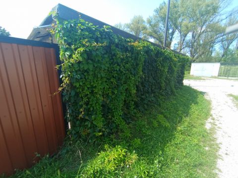 Eladó Parkoló 2536 Nyergesújfalu 