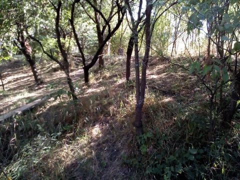Eladó Telek 3328 Egerszólát 