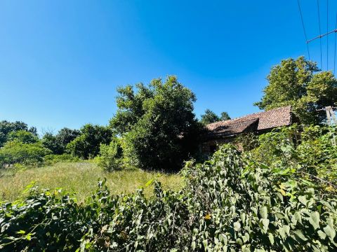 Eladó Ház 4241 Bocskaikert 4241 Bocskaikert, Rákóczikert