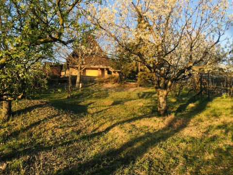 Eladó Ház 2146 Mogyoród , Rövid u