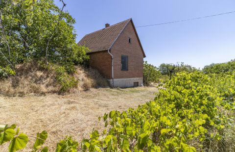 Eladó Ház 8154 Polgárdi 