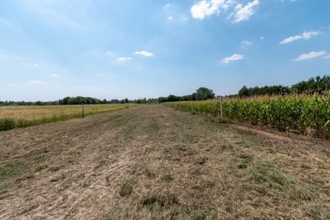 Eladó Telek 8154 Polgárdi 