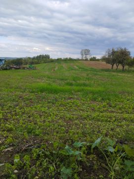 Eladó Ház 8416 Dudar 