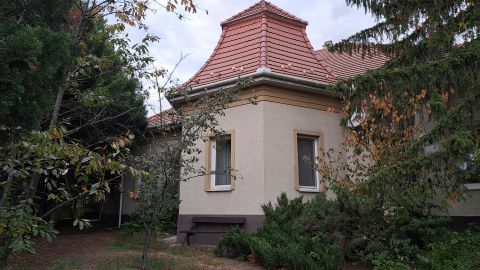 Eladó Ház 2241 Sülysáp , 5 szobás családi otthon üzlethelységgel eladó