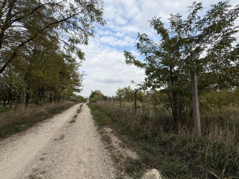 Eladó Telek 2536 Nyergesújfalu 