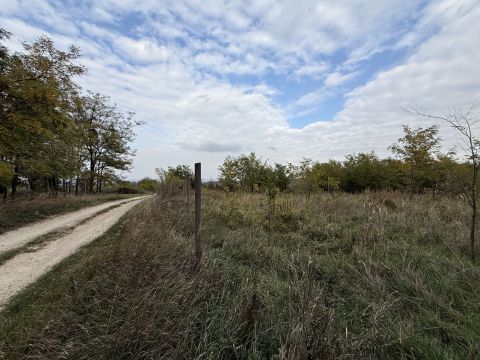 Eladó Telek 2536 Nyergesújfalu 