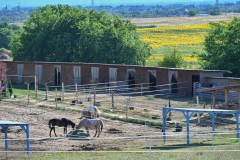 Eladó Mezőgazdasági 2151 Fót 