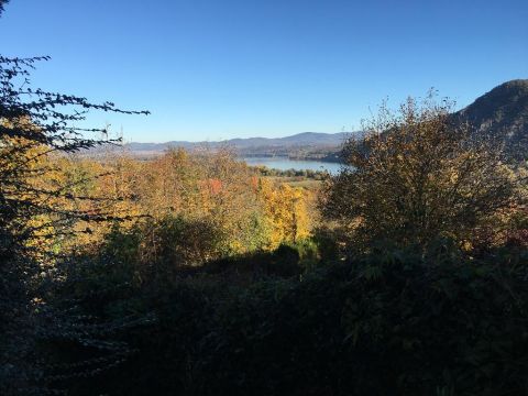 Eladó Telek 2027 Dömös , 2027 Dömös, Kertekföle