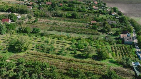 Eladó Telek 2463 Tordas zártkert