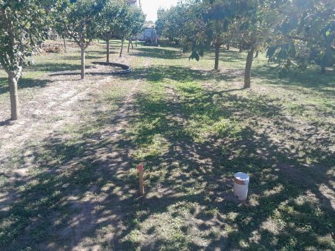 Eladó Telek 2072 Zsámbék 2072 Zsámbék, központi