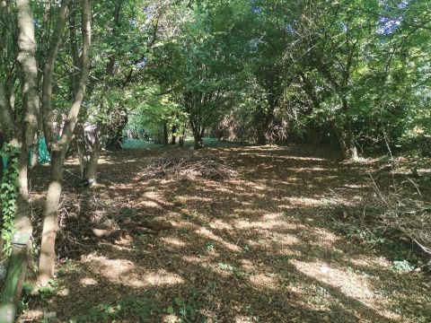 Eladó Telek 1028 Budapest 2. kerület , 1028 Budapest 2, Széphalom