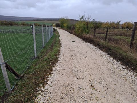 Eladó Telek 2822 Szomor 