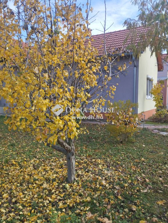 8000 Székesfehérvár , Ráchegyen, szigetelt ház — 1/34