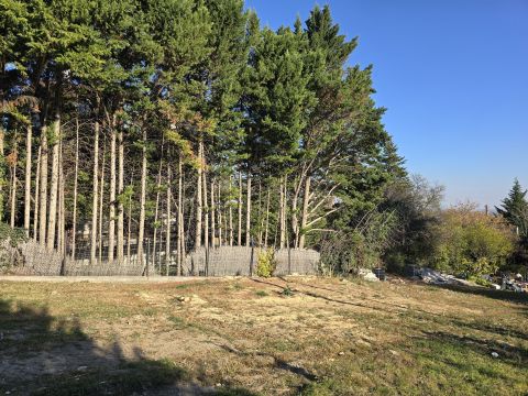 Eladó Ház 2049 Diósd , Letisztult formák és színek