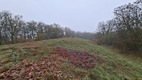 Eladó Telek 8233 Balatonszőlős , Fő utca