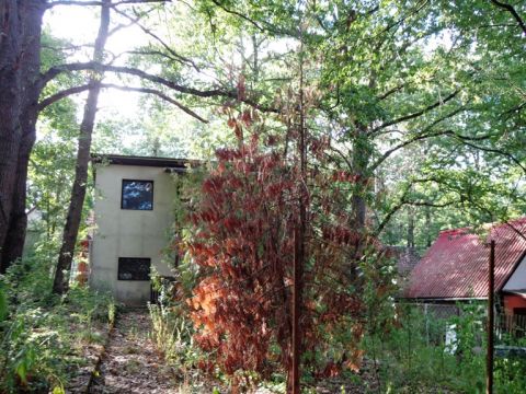 Eladó Ház 2623 Kismaros , Börzsönyligeten,könnyűszerkezetes nyaraló