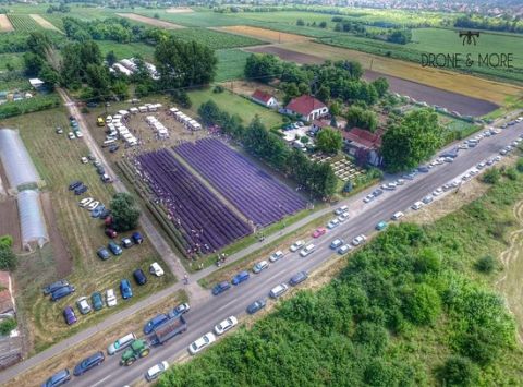 Eladó Mezőgazdasági 6640 Csongrád 