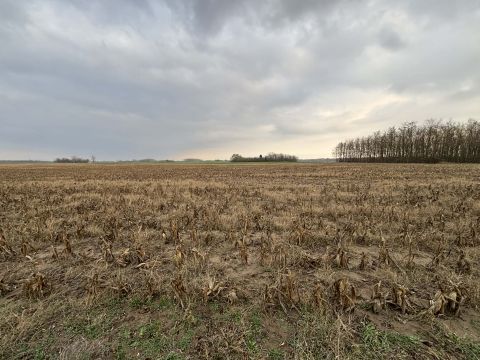 Eladó Mezőgazdasági 5100 Jászberény Alsómuszaj-on
