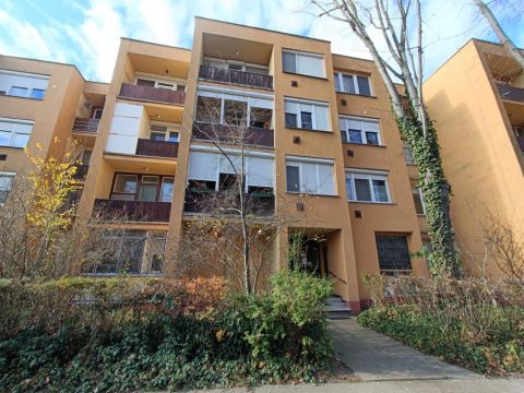 Eladó Lakás 6000 Kecskemét , Erkélyes, földszinti tégla lakás eladó a Gizella téren!