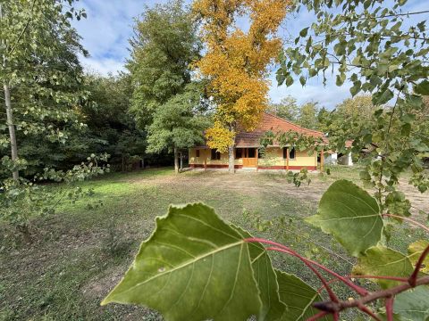 Eladó Ház 6050 Lajosmizse , Nappali + 3 szobás tanya 6700 m2 területtel