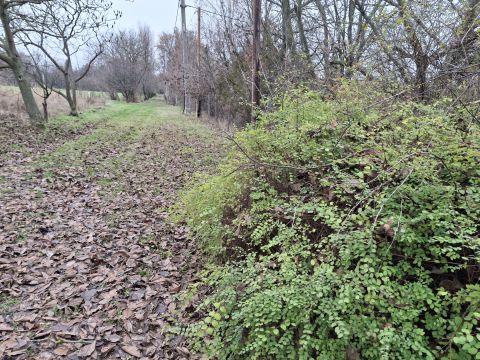 Eladó Telek 8087 Alcsútdoboz 