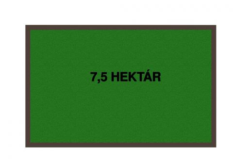 Eladó Telek 6765 Csengele , 7,5 Hektár terület eladó