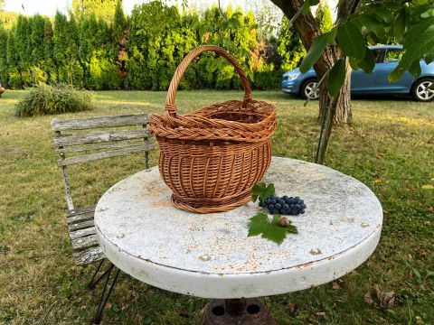 Eladó Telek 9700 Szombathely Parkerdei hangulatos  kiskert