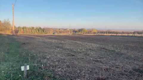 Eladó Telek 7720 Pécsvárad 