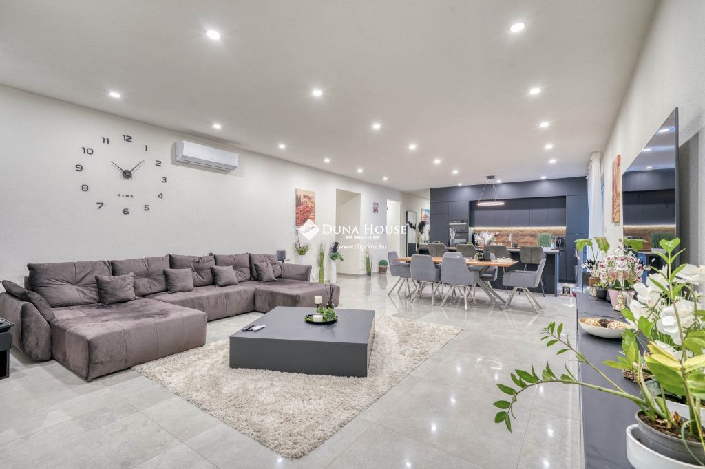 Eladó ház, Délegyháza