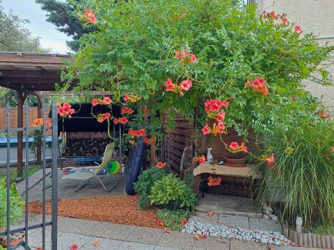 Eladó Lakás 1039 Budapest 3. kerület RÓMAI PART KÖZELÉBEN 1. EM-I NAPFÉNYES LAKÁS SAJÁT KERTTEL