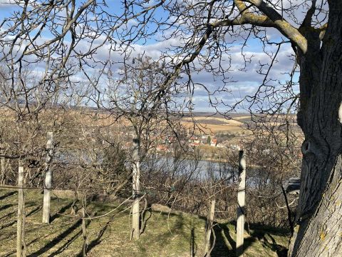 Eladó Mezőgazdasági 7745 Hásságy 