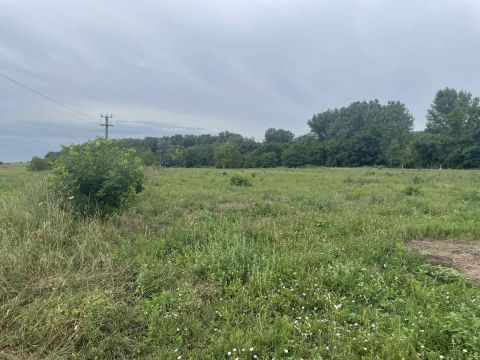 Kiadó Telek 5435 Martfű , Martfűn a 442-es főútnál kiadó egy 4656 nm-es telek