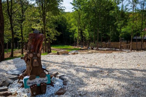 Eladó Telek 8371 Nemesbük , 8371 Nemesbük, Erdős