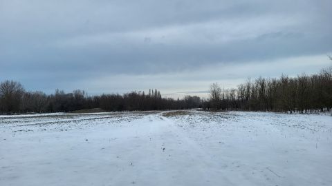 Eladó Mezőgazdasági 6131 Szank 