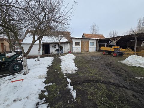 Eladó Telek 7000 Sárbogárd Sárbogárd csendes zsákutcájában 542nm-es építési telek 