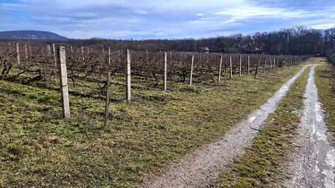 Eladó Telek 8255 Balatonrendes 