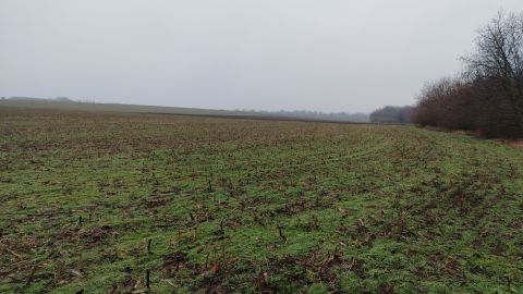 Eladó Telek 8600 Siófok , Sóstón külterületi szántó eladó