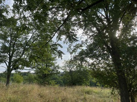 Eladó Telek 7275 Igal 