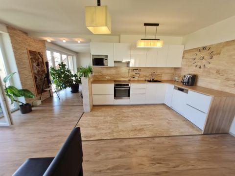 Kiadó Ház 1038 Budapest 3. kerület , Szomorufűz utca