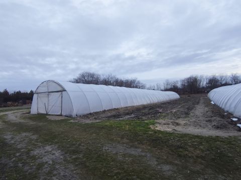 Eladó Telek 2723 Nyáregyháza 