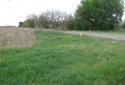 Eladó Telek 6758 Röszke , 6758 Röszke, M5 közelében a röszkei út mellett