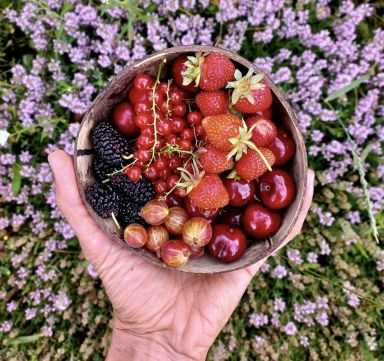 Eladó Telek 7691 Pécs 