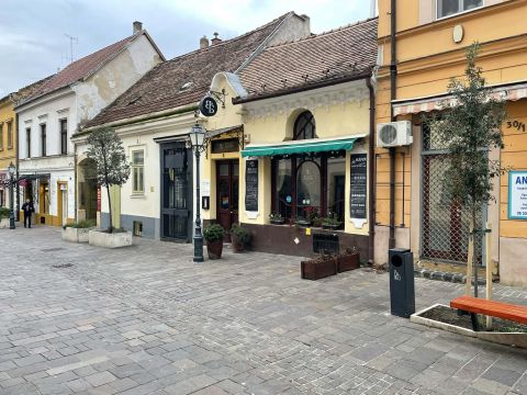 Eladó Ház 7621 Pécs , ===Családi házzá  visszaalakítható ingatlan belvárosban ===